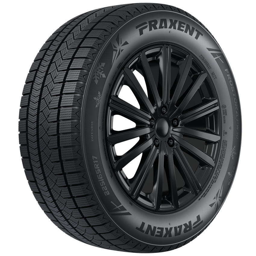 FROSTORA PW30 - Image 3