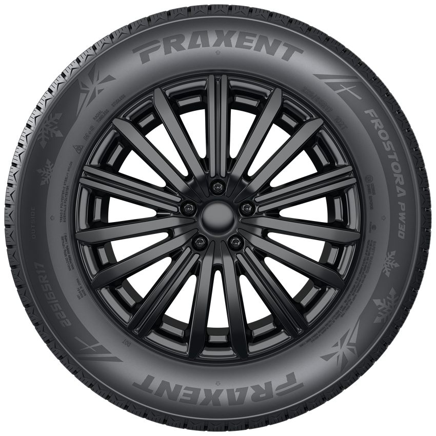 FROSTORA PW30 - Image 4