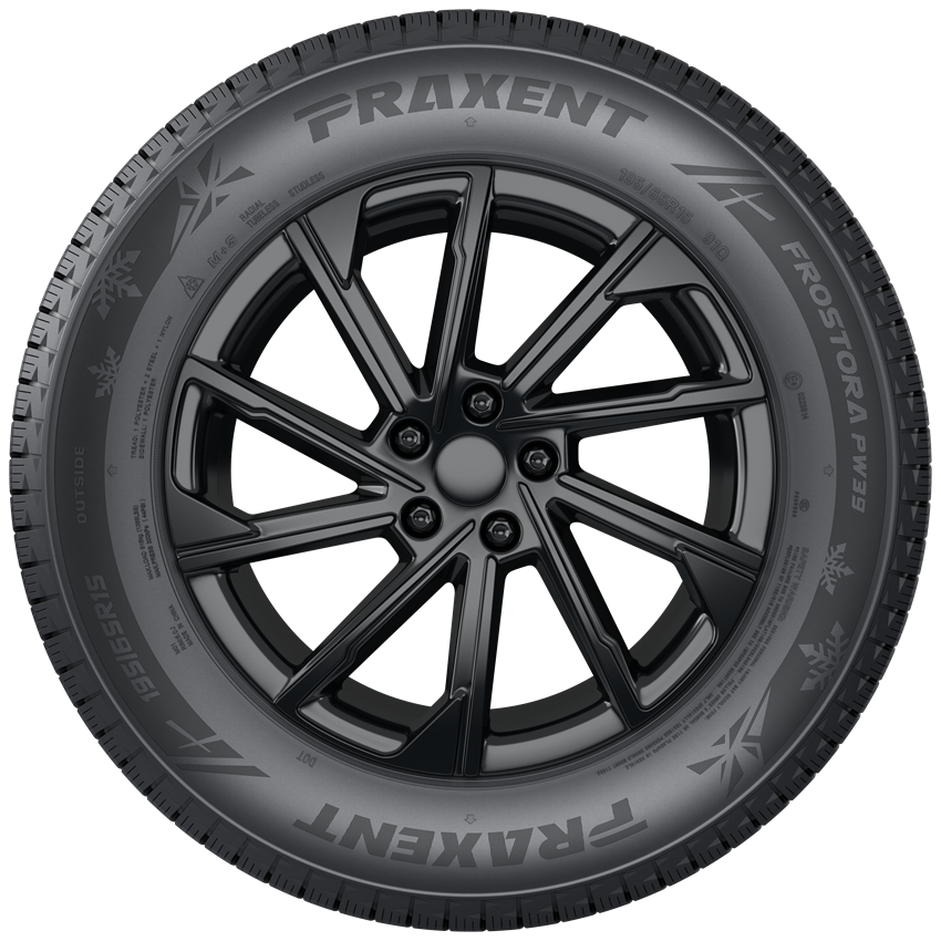 FROSTORA PW39 - Image 4