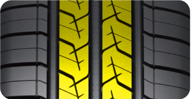 Widened Rib Structure