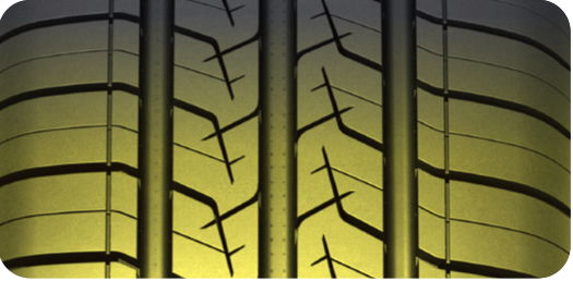 All-terrain Adaptability